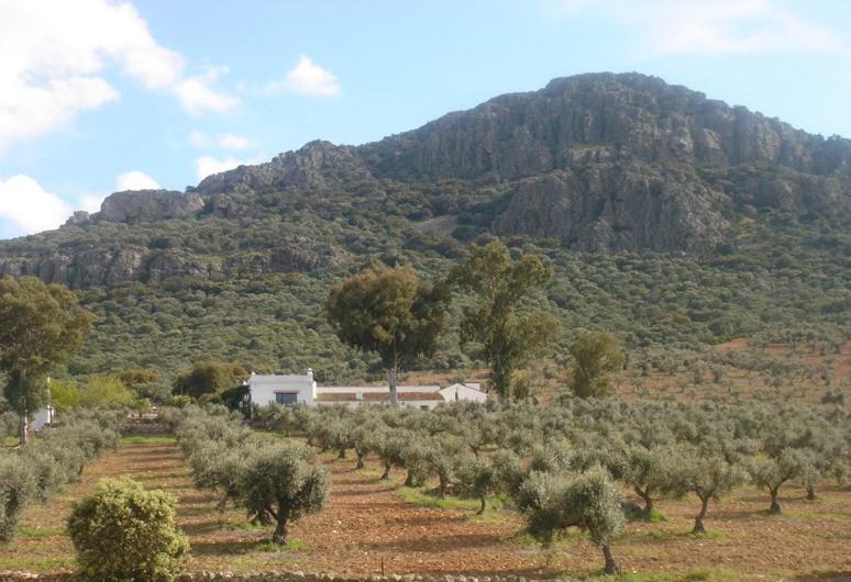 Casa Rural Sierra De Mampar Hornachos 외부 사진